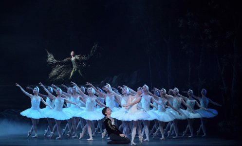 swan-lake-8