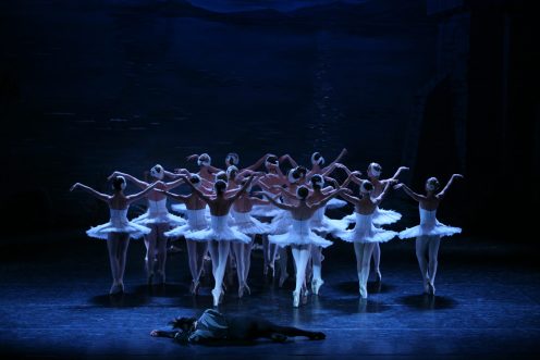 swanLakepromo6