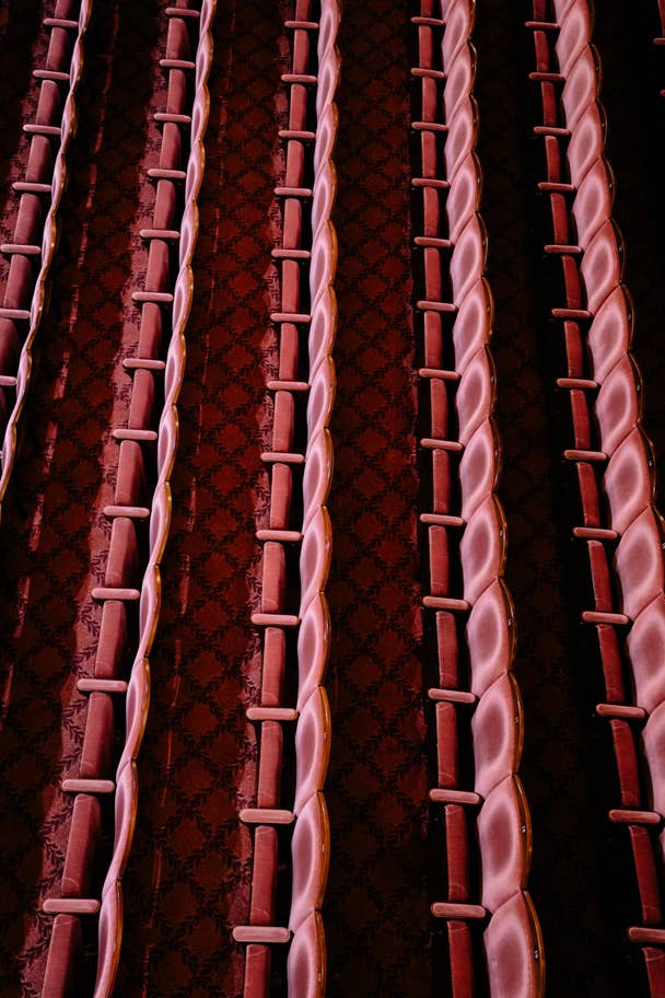 6.-our-empty-theatres-criterion-theatre-helen-murray7