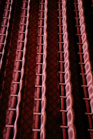 6.-our-empty-theatres-criterion-theatre-helen-murray7