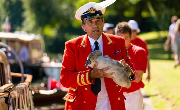 Swan Master (Andrew Crowley)